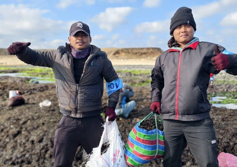 民眾登澎湖姑婆嶼採紫菜（2）