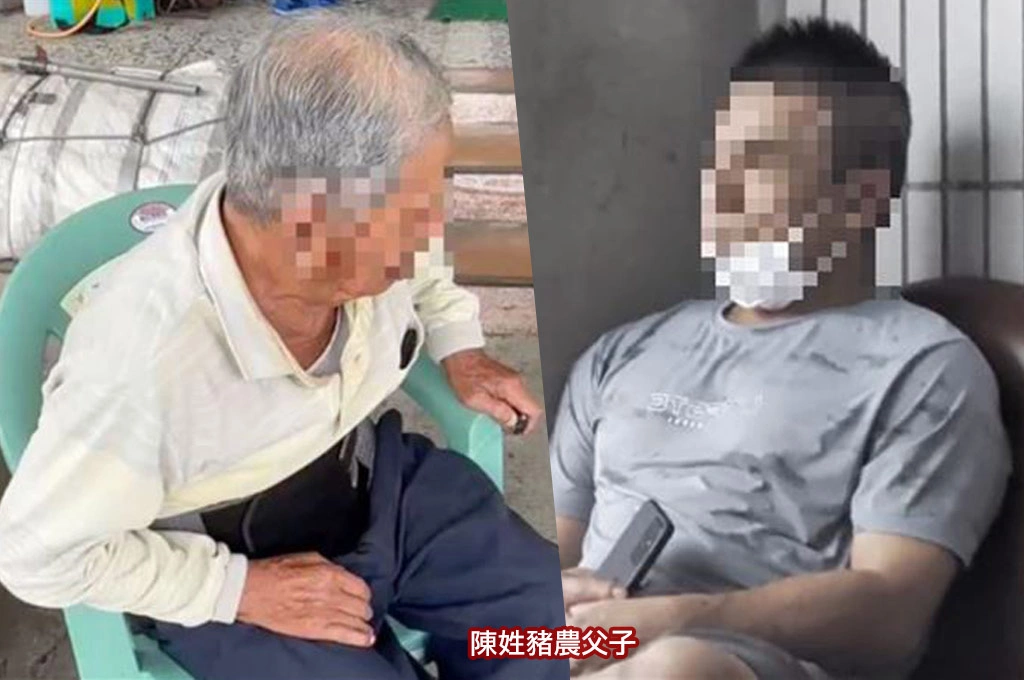 非洲豬瘟案例場豬農父子遭羈押禁見！檢方疑「規避行政處分」：朝行使業務登載不實文書罪方向偵辦