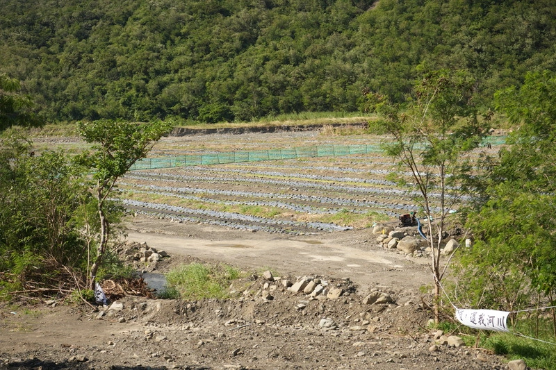屏東楓港溪河床種瓜　居民怨異味引蒼蠅