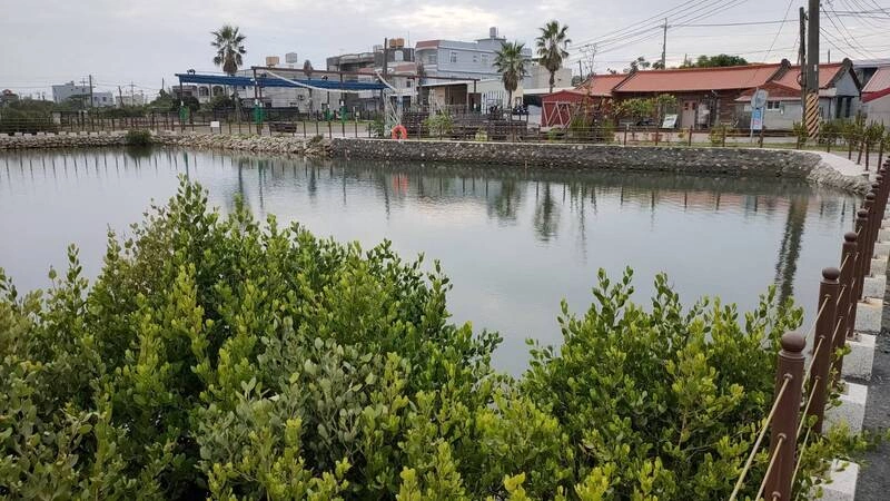 高雄沿海導入藍碳生態系理念　魚塭打造示範場域