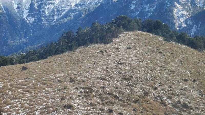 5人登山隊雪山待援  空勤出動直升機救下山送醫