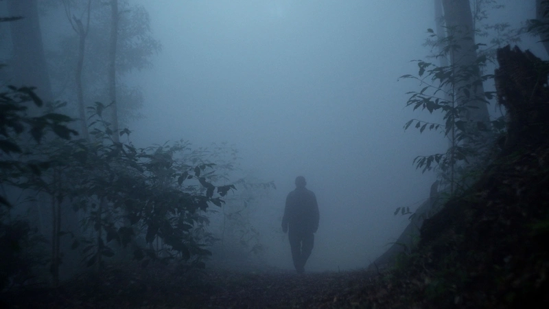 紀錄片「複層之森」高雄、屏東12月免費放映