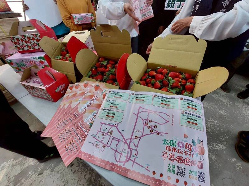 太保市草莓季開跑（1）