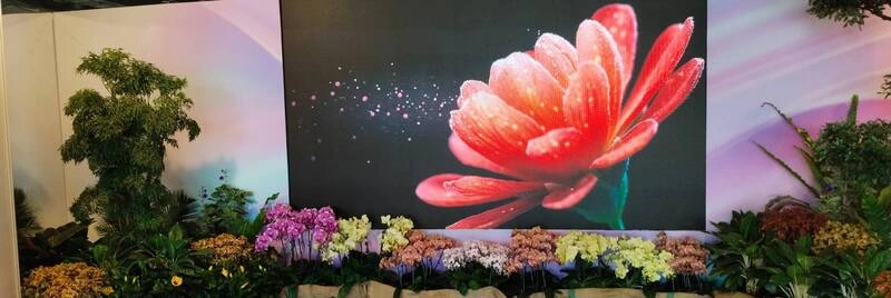 台灣花卉推介會開幕　展出1500餘品種