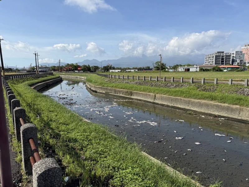 疑水體溶氧量低　宜蘭打那岸排水現千隻死魚
