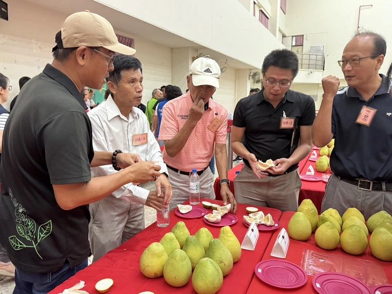 斗六文旦評鑑　70組果農參與