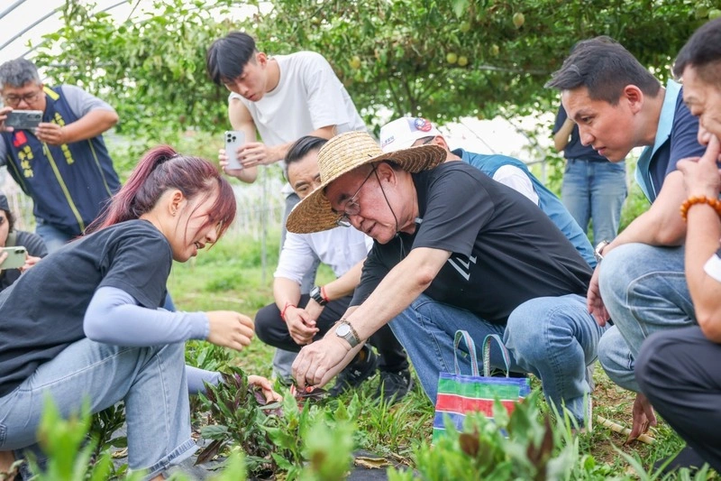 蘇巧慧推中醫藥照護  李四川承諾協助青創
