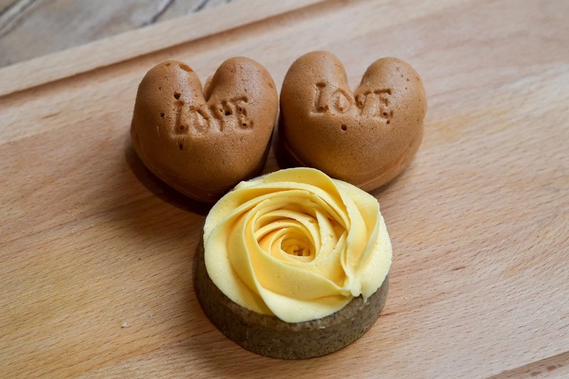 友善石虎農作走入南投烘焙業