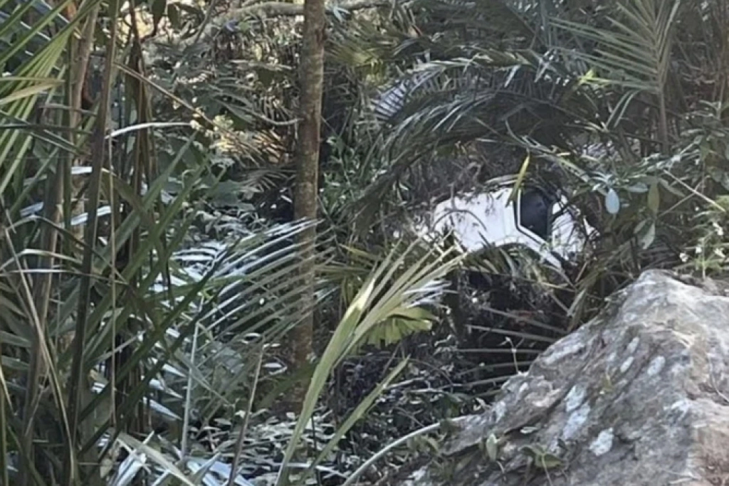 南投草屯墜谷小貨車內發現男屍　疑國姓鄉失聯者