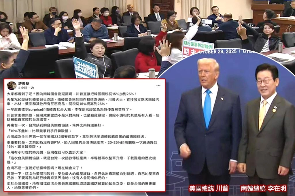指美國提高南韓關稅「殺雞儆猴」包含被在野掌控台灣國會!許美華:受益最大傳產業者自己救自己跟藍白對抗!