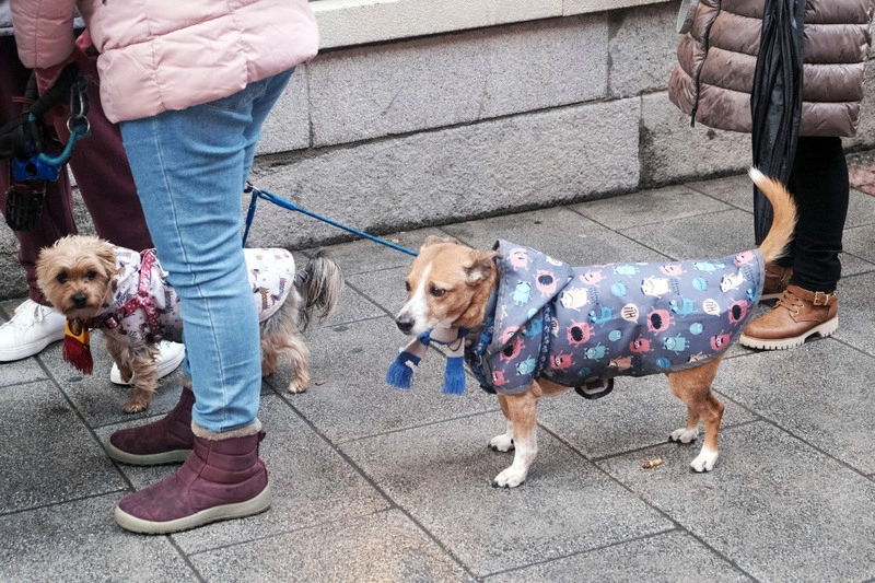 9場風暴襲擊　西班牙1月破25年來最多雨紀錄