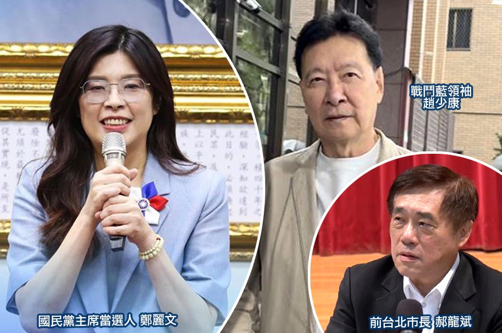 狠批鄭麗文儼然「反共護國派」?!周玉蔻揭趙少康不參選真相:是不願辭中廣董事長…台派別被騙了!