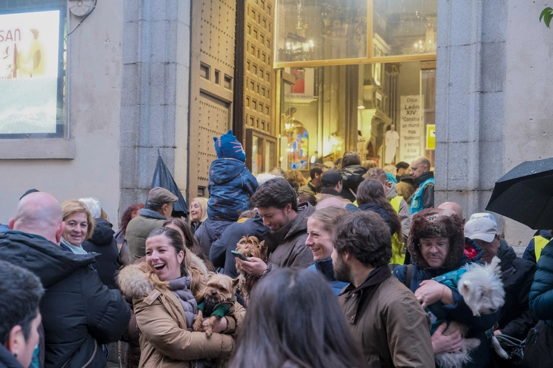 馬德里「聖安東節」動物慶典  大批民眾帶毛孩上教堂