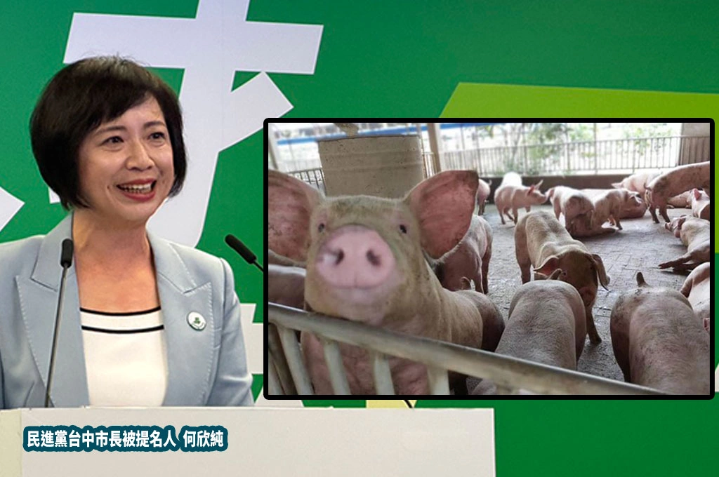 台中爆非洲豬瘟、防檢署預算被藍白砍掉！何欣純轟「在野亂刪預算活生生例子」：國人有眼睛判斷