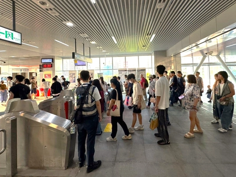 新社花海吸人潮　中捷綠線11月運量創新高