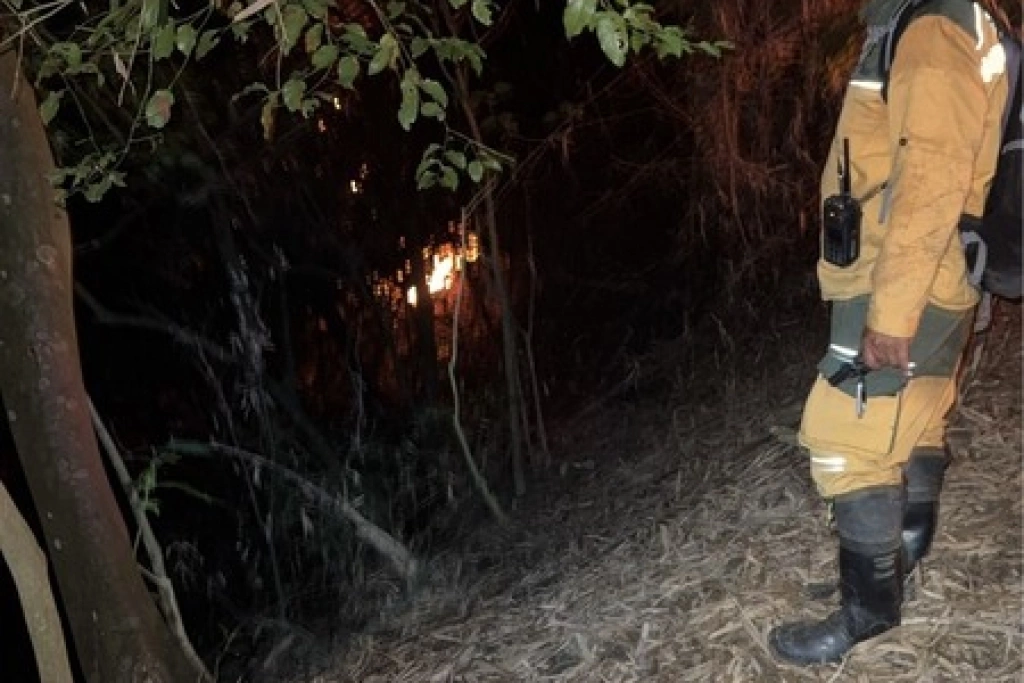 美濃近黃蝶翠谷竹林火警　消防陸空搶救撲滅