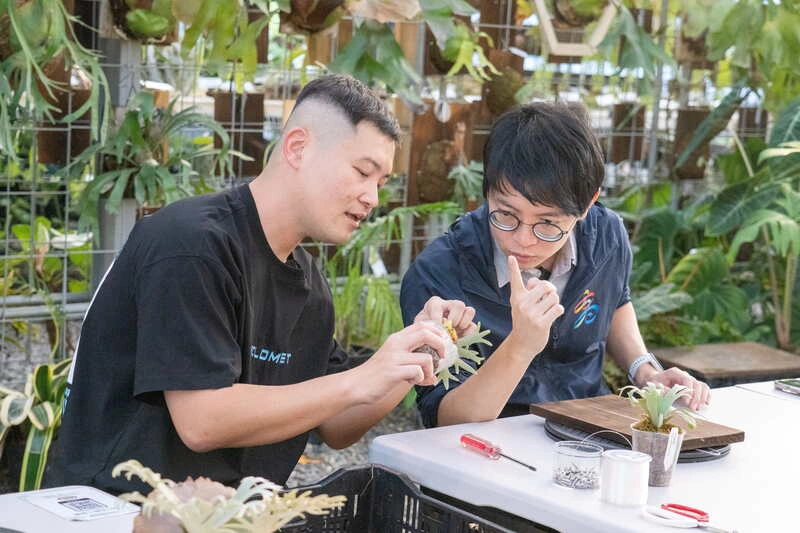 高雄青創品牌「阿金的便秘花園」