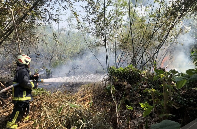 嘉市翁疑竹林整地火警嗆傷倒地　全身灼傷送醫不治