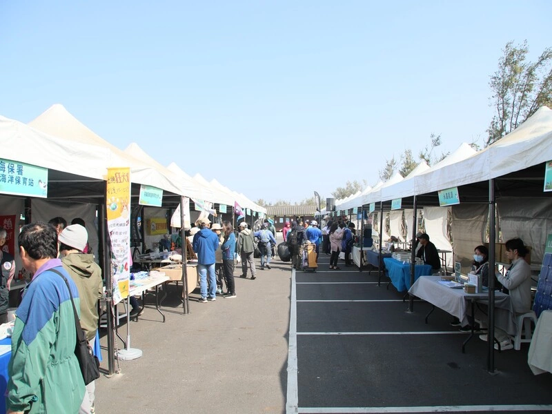 冬春之際千羽壯觀　布袋濕地候鳥賞鳥季至4月