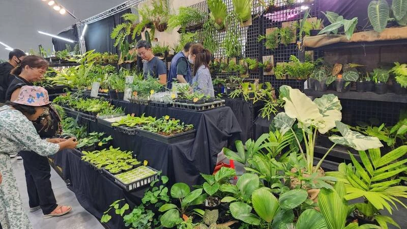 亞洲植物博覽會首度在桃園　設一站式檢疫方便外國客