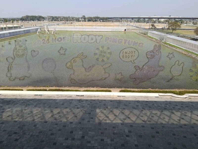 屏東熱博聯名「跳跳馬RODY」　彩繪稻田區亮相