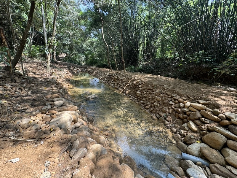 搶救台灣白魚（2）