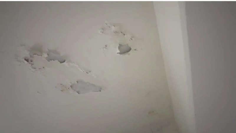 議員指大巨蛋停車場漏水　北市：查看後要求改善