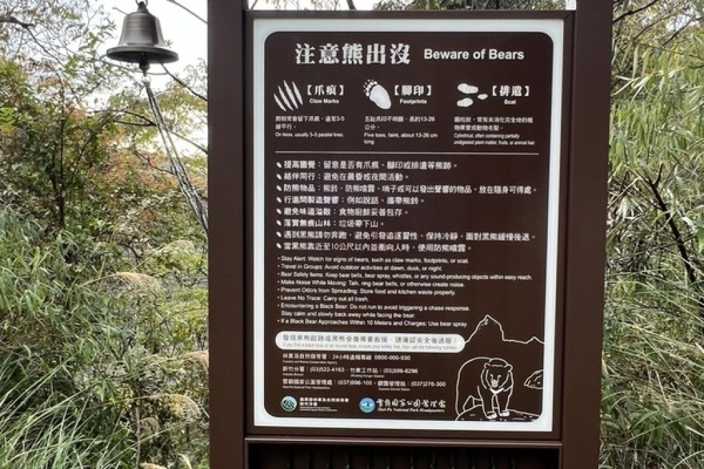 大鹿林道東線黑熊出沒　林保署籲登山客提高警覺