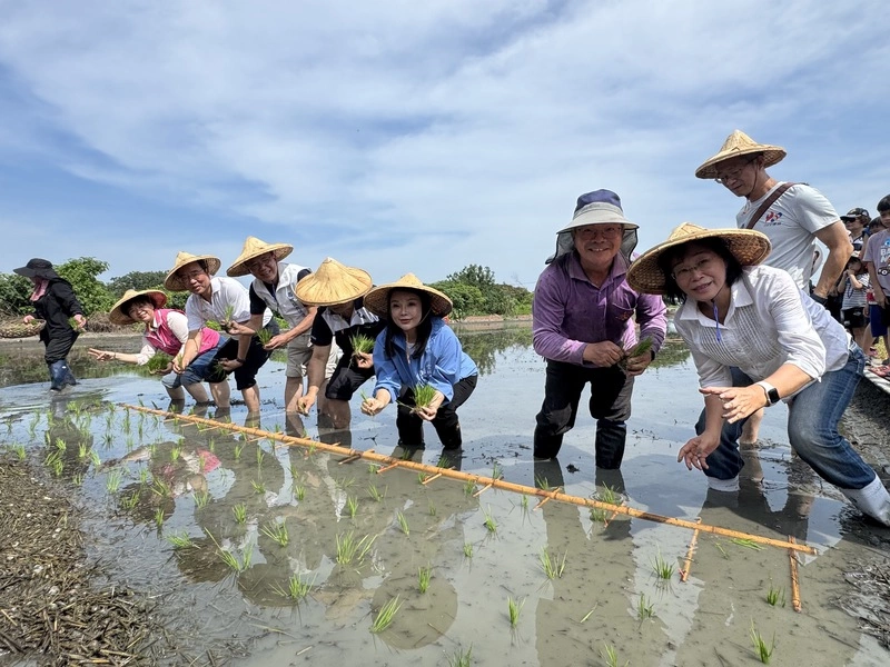 西螺農會揪200名親子下田趣　體驗水稻一生