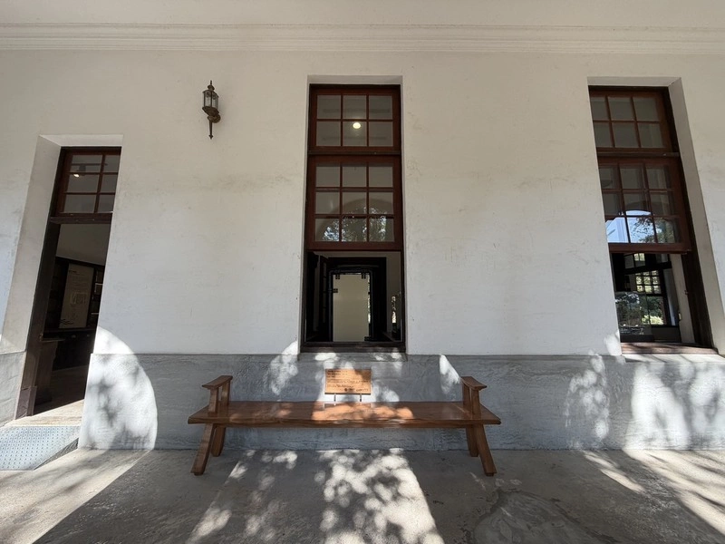 台南水道博物館百年羅漢松轉化再生