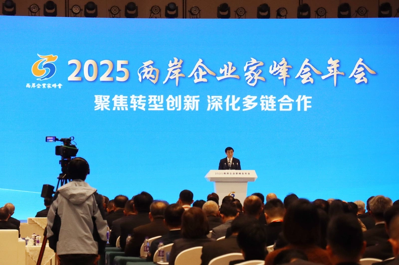 兩岸企業家峰會開幕 王滬寧唱多中國經濟重申一中