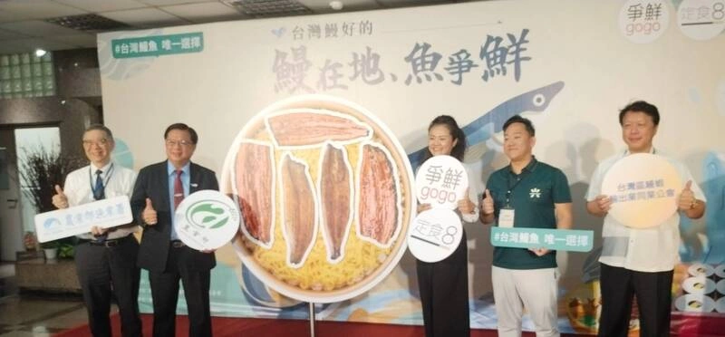 鰻苗變多  漁業署結合通路推國產鰻魚料理