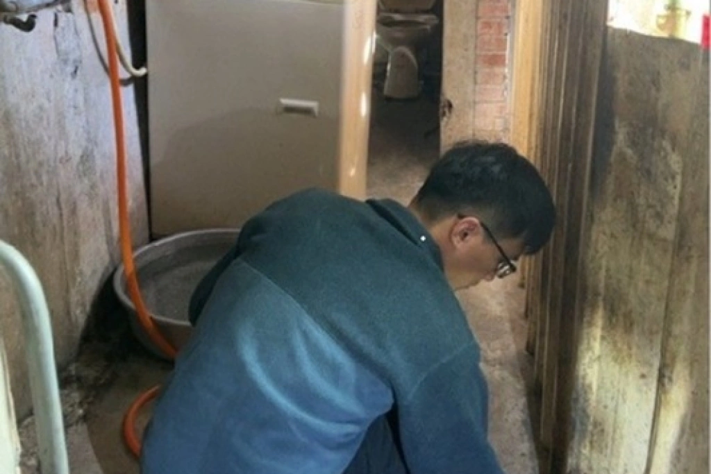 雲林家犬疑遭捕捉宰殺　2男涉案函送偵辦