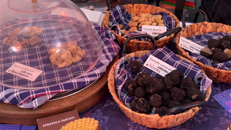 義大利拉奎拉珍稀松露展  新鮮黑白松露