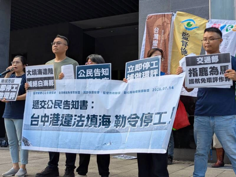 台中港填海造陸涉白海豚棲地　環團籲停止開發