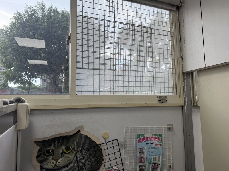 犬隻墜樓亡　飼主遭新北動保罰1.5萬元