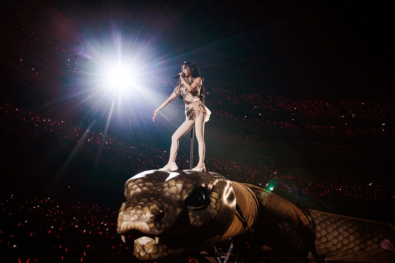 蔡依林大巨蛋新年首唱（2）