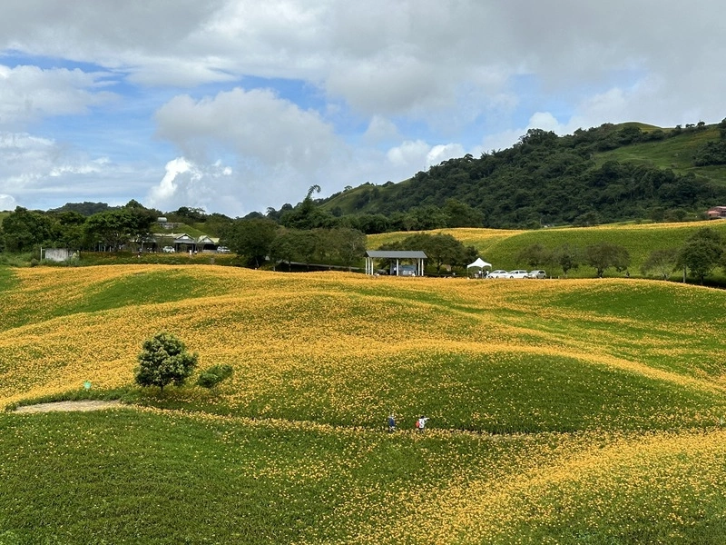 六十石山馬拉松9/14登場