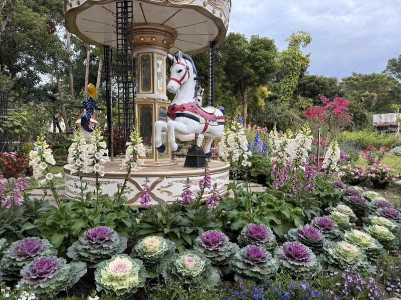 苗栗走春　白沙聖域串聯山海農遊軸線