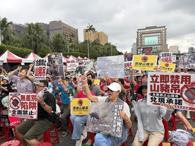 動保團體籲立法禁山豬吊  林業署：應從源頭管制