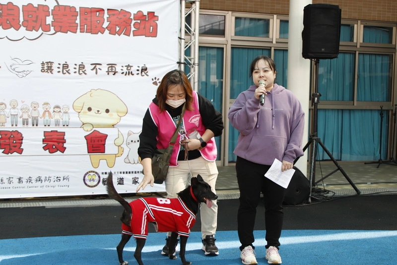 嘉義縣創「浪浪就業服務站」 溫柔變身療癒犬護衛犬