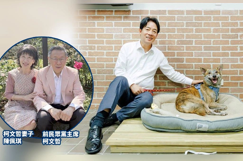 陳佩琪稱「柯文哲不如賴清德三腳狗」…黃帝穎反酸「別侮辱狗」：狗不會騎飛輪拿300萬！