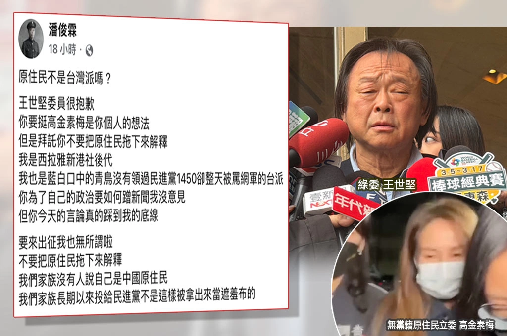 王世堅挺高金素梅硬凹「原住民不是台灣派嗎？」潘俊霖轟「別把原民拖下來解釋」：我們家族沒人說自己是中國原住民！