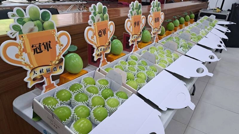 高雄大社區蜜棗將進入產季