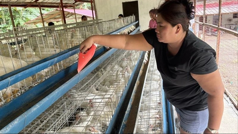 菲律賓家扶中心　火山災區捐建雞舍