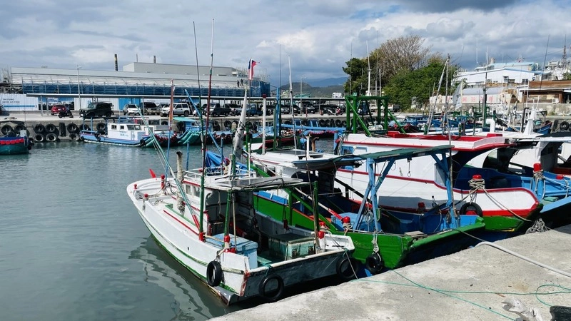 漁獲僅賣千元不如油錢　台東漁民暫不出海