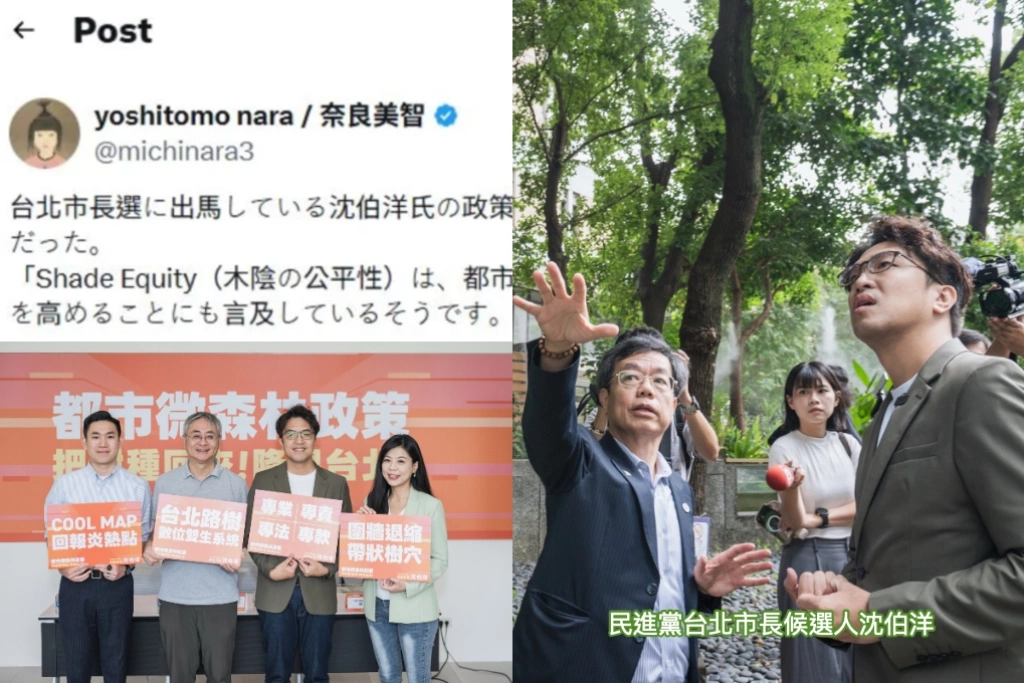 奈良美智都關注！沈伯洋都市微森林政策 「樹蔭公平」引發跨國熱議：選舉能好好討論市政很幸福