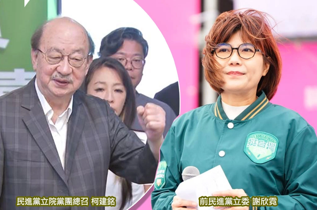 柯建銘成綠營敗退始作俑者？謝欣霓轟黨團「打架、提案、論述都輸」結果僅檢討柯一人：每位國會諸公，難道不該先自省再檢討別人？