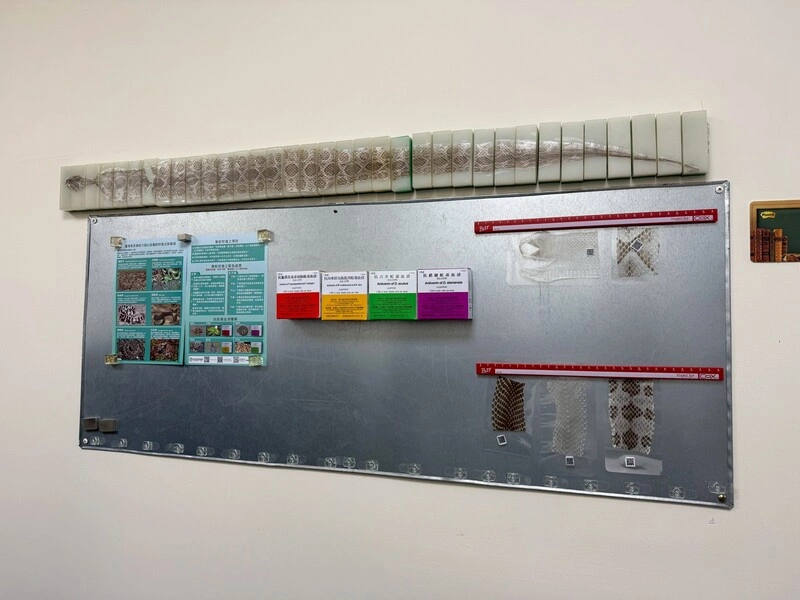 神秘「招待所」養六大毒蛇 扛起救命抗毒蛇血清堡壘