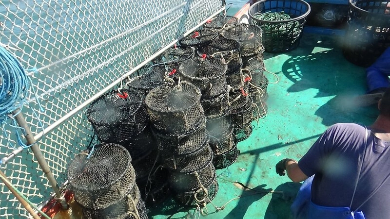 高雄海洋局協同海巡署查緝近海違規籠具